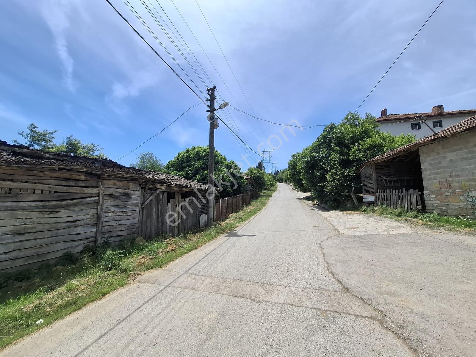 Hasanfakıda Yol Cepheli Verimli , Baraja Yakın Fındık Bahçesi - Görsel 12