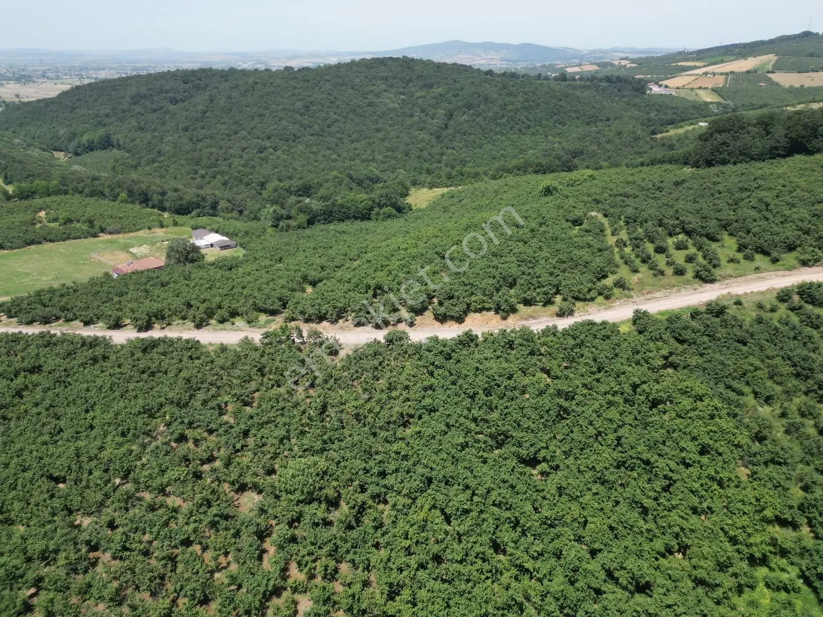Hasanfakıda Yol Cepheli Verimli , Baraja Yakın Fındık Bahçesi - Görsel 35