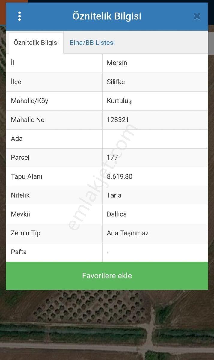 Sera Yapımına Uygun Verimli Tarla - Görsel 2