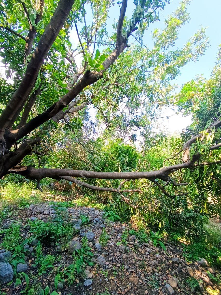 Anadolu Gayrimenkulden Ağlıboğazda Villa Arsası - Görsel 20