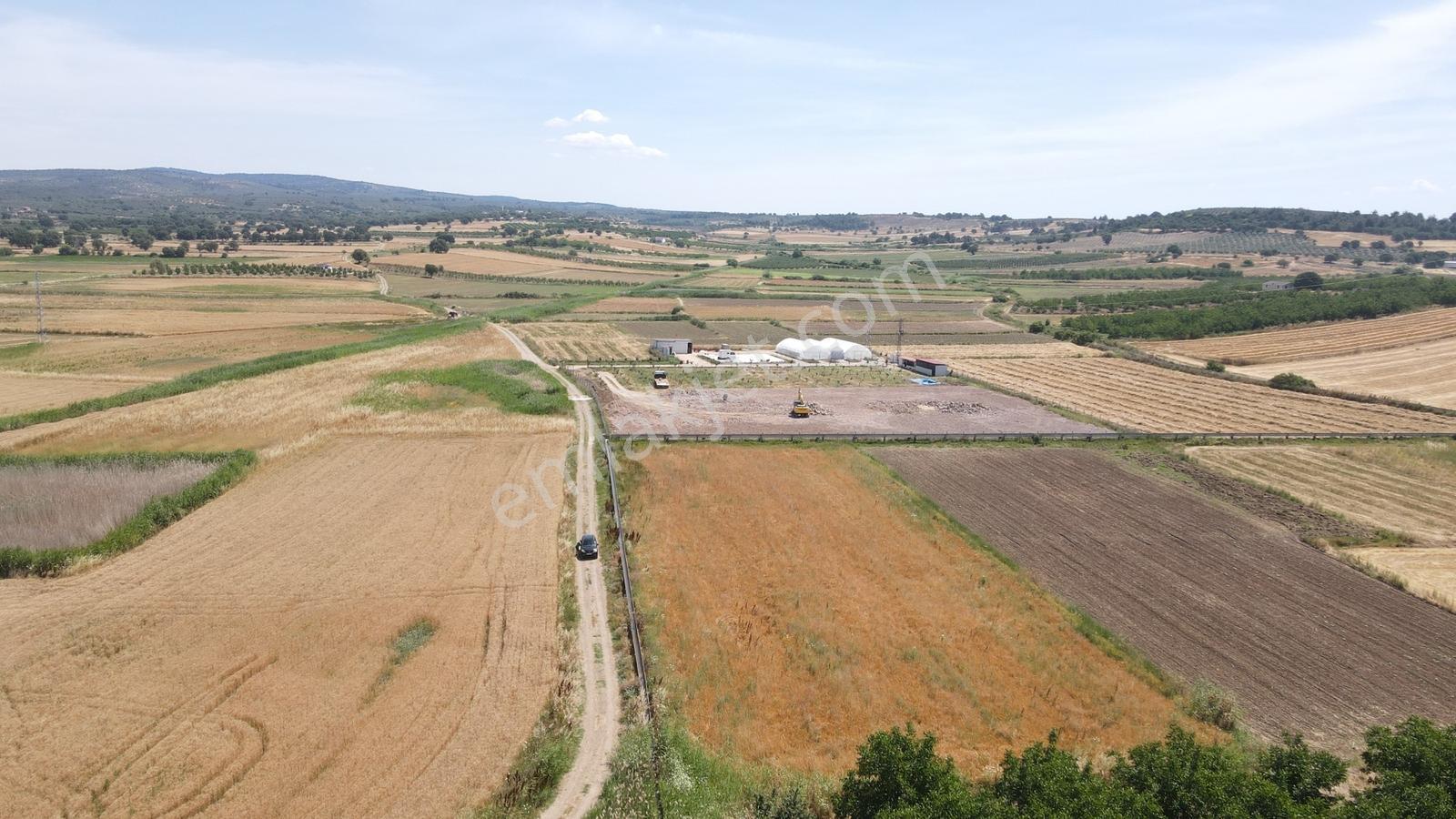 Ezine Akköy'de Yolu, Suyu Olan, Elektriğe Komşu 4.000 M² Fırsat - Görsel 12