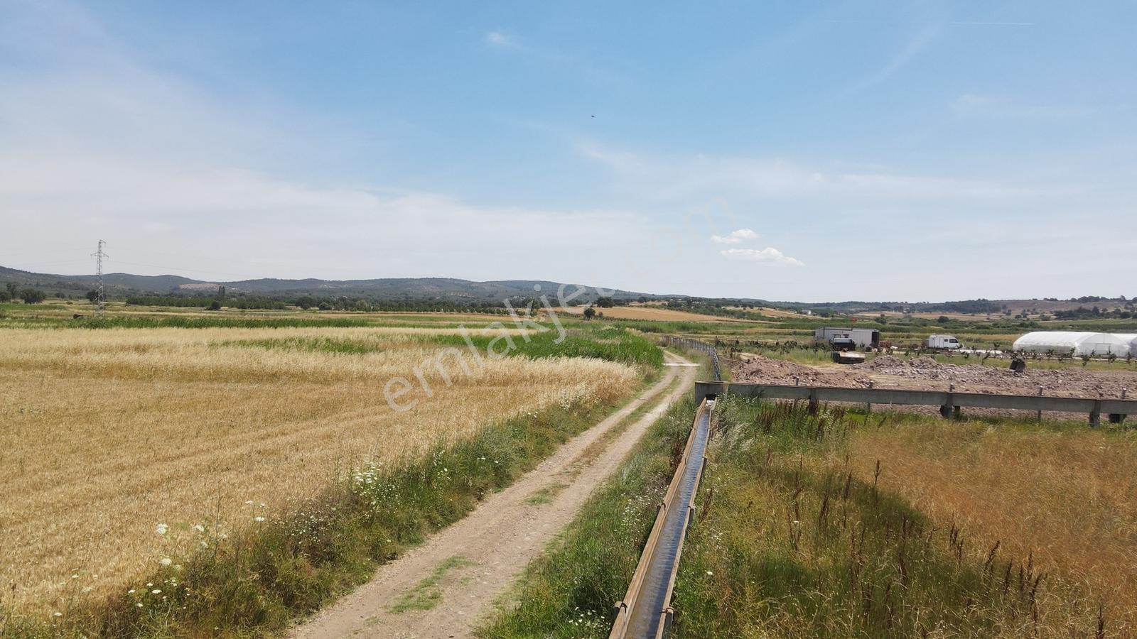 Ezine Akköy'de Yolu, Suyu Olan, Elektriğe Komşu 4.000 M² Fırsat - Görsel 18