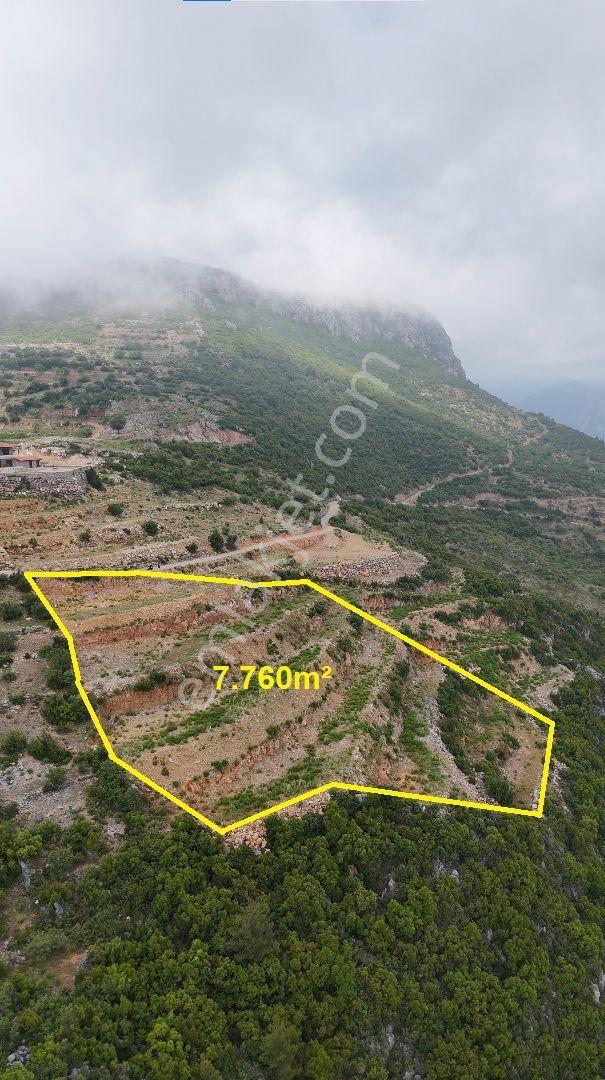 Satılık 7.760 M² Manzaralı Tarla - Alanya-yenice - Görsel 6
