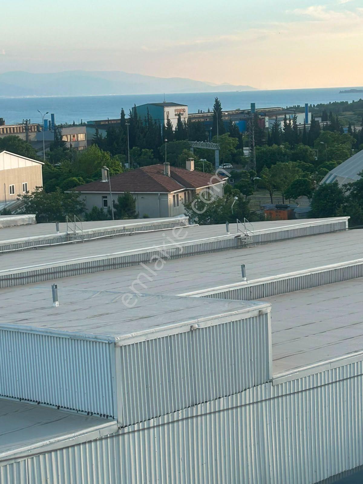 2+1 Kiralık Daire Şifa Mahallesi Sahibinden - Görsel 20