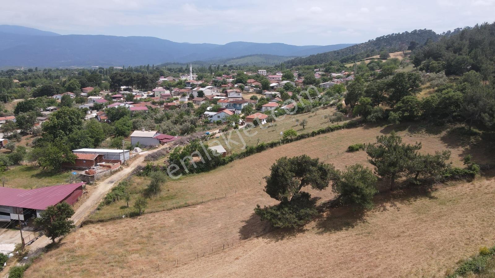 Çınar Emlak Dan Daloba Köyünde Doğayla İç İçe 1.925 M² Arsa - Görsel 12