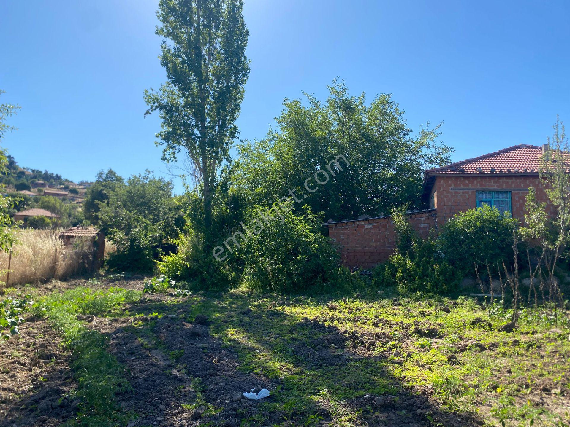 İzmir Kınık Büyükoba'da 2.134 M² 4 Tapu Toplu Satış Fırsatı - Görsel 28