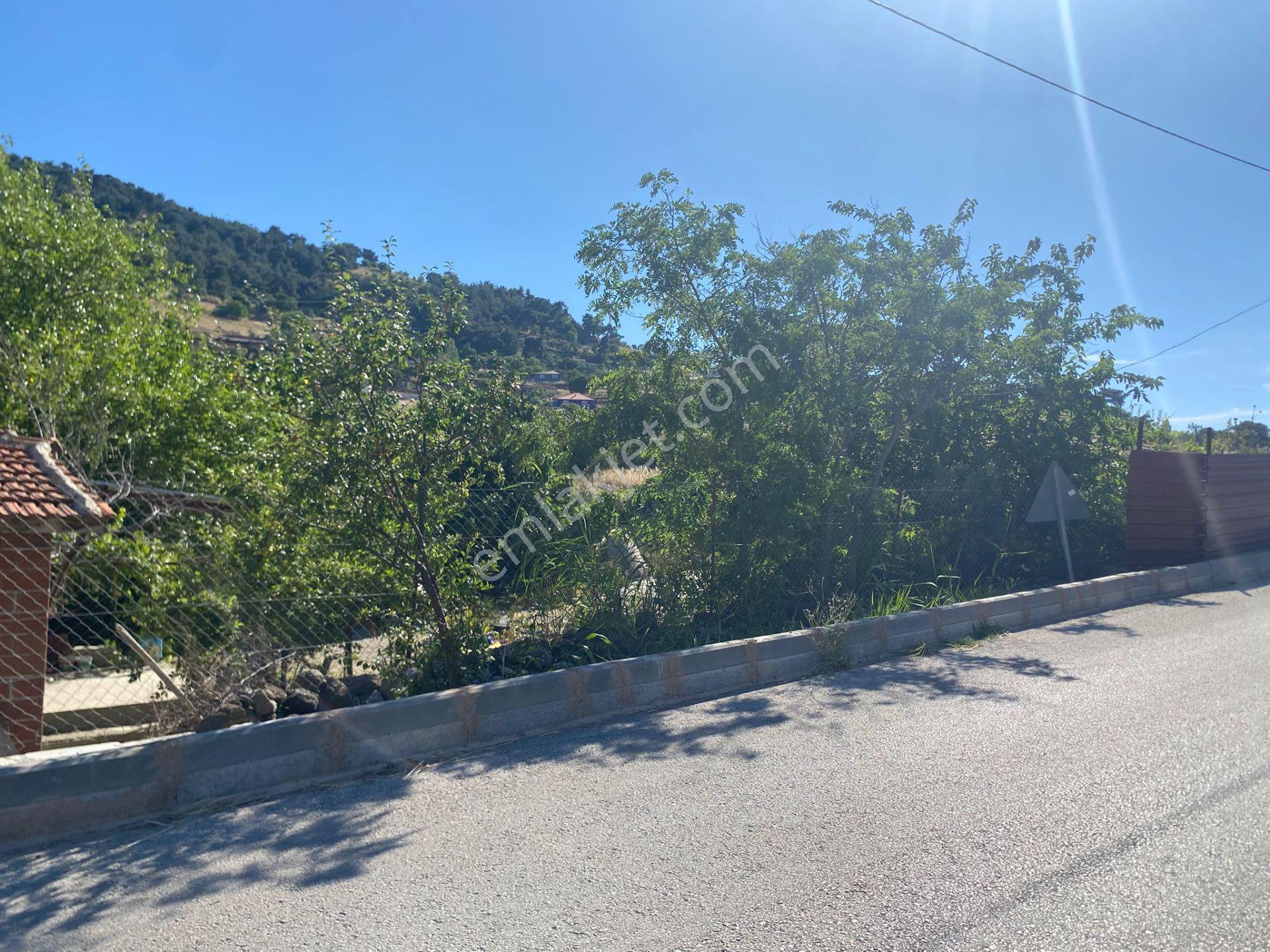 İzmir Kınık Büyükoba'da 2.134 M² 4 Tapu Toplu Satış Fırsatı - Görsel 14