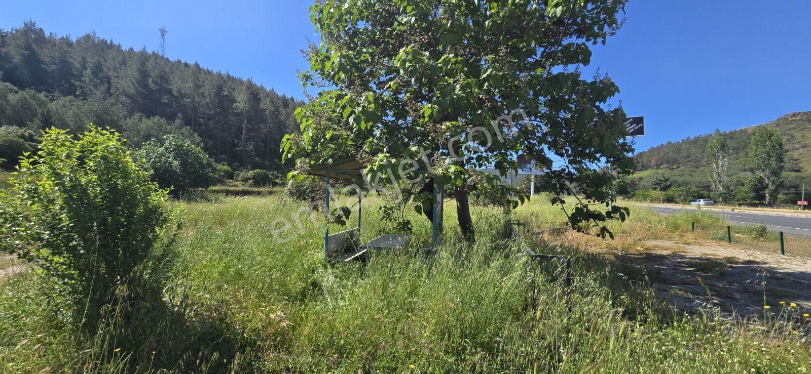 Selçuk Yolu At Çiftliği Karşısı - Görsel 13