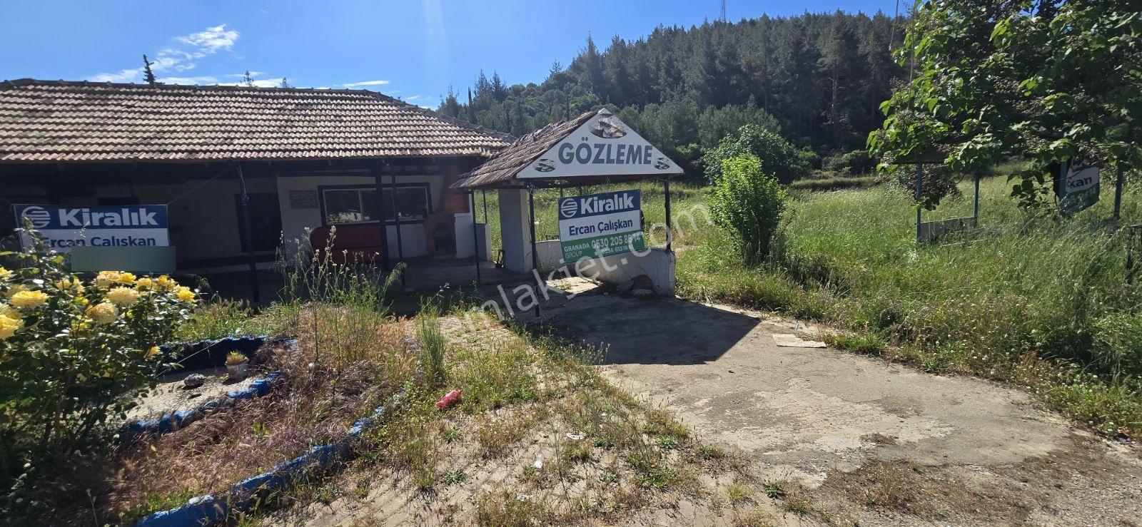 Selçuk Yolu At Çiftliği Karşısı