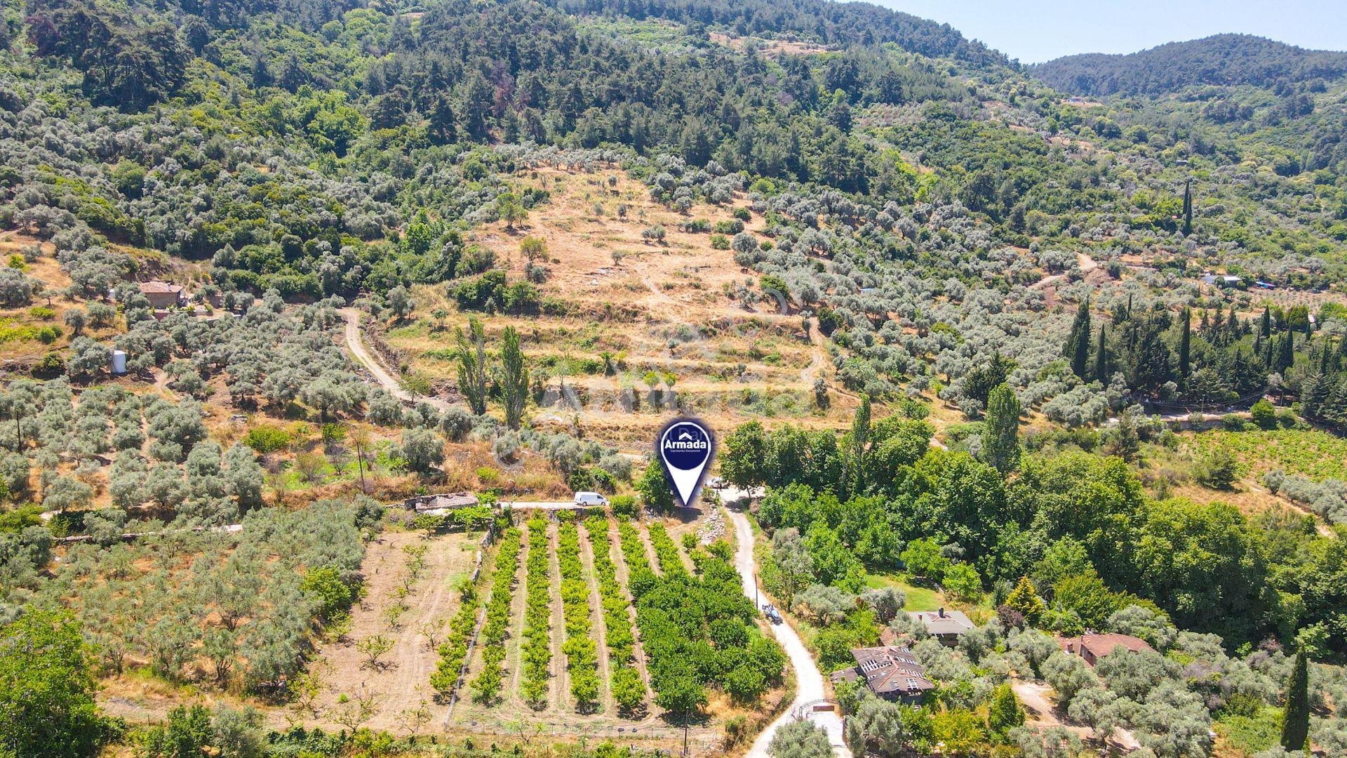 Selçuk Şirince Köyüne 500 Metre Yürüme Mesafesinde Satılık Bahçe - Görsel 5