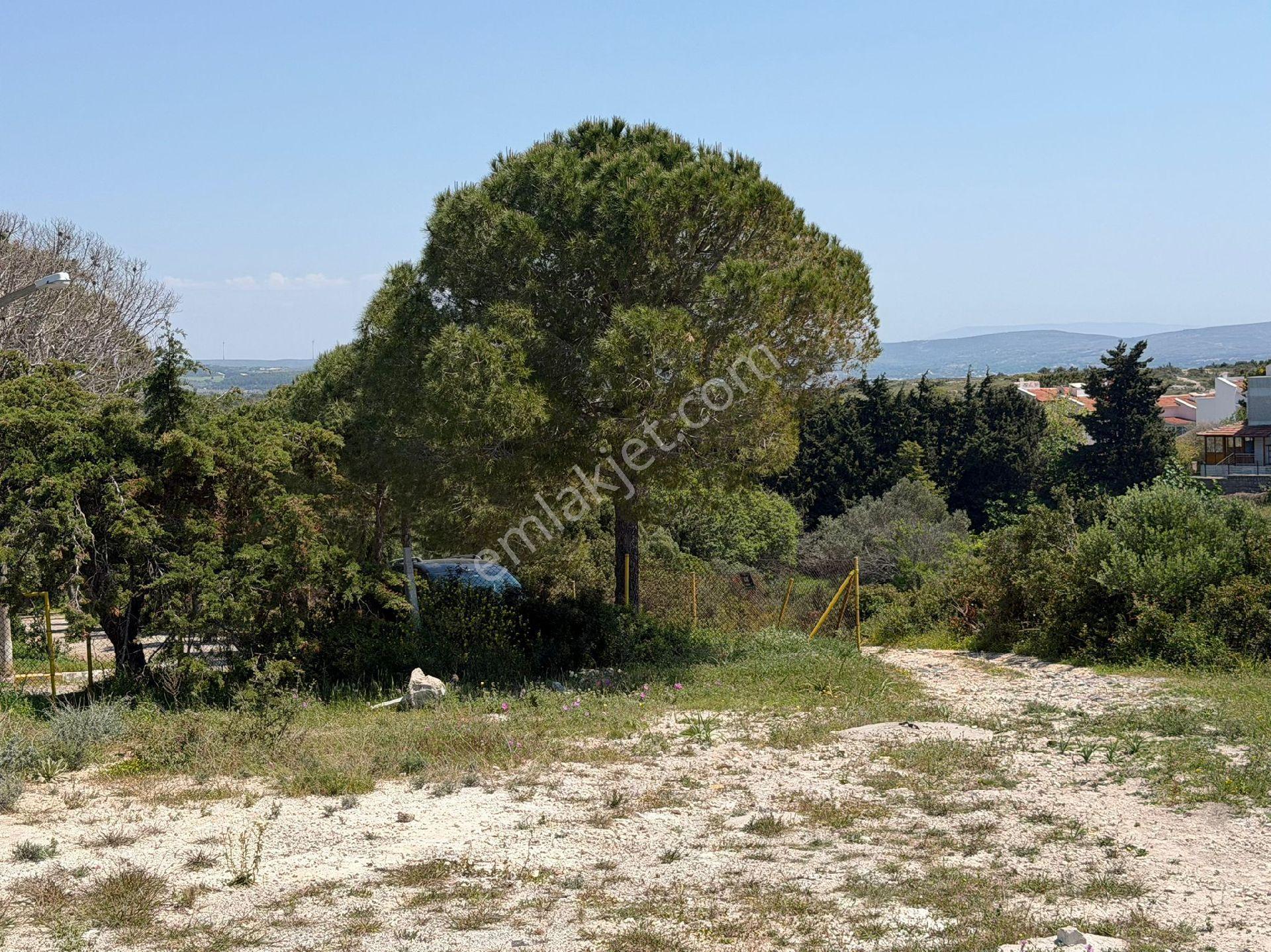 Çeşme Çiftlik Mahallesi 50 M² Uygun Fiyata Satılık Arsa - Görsel 16
