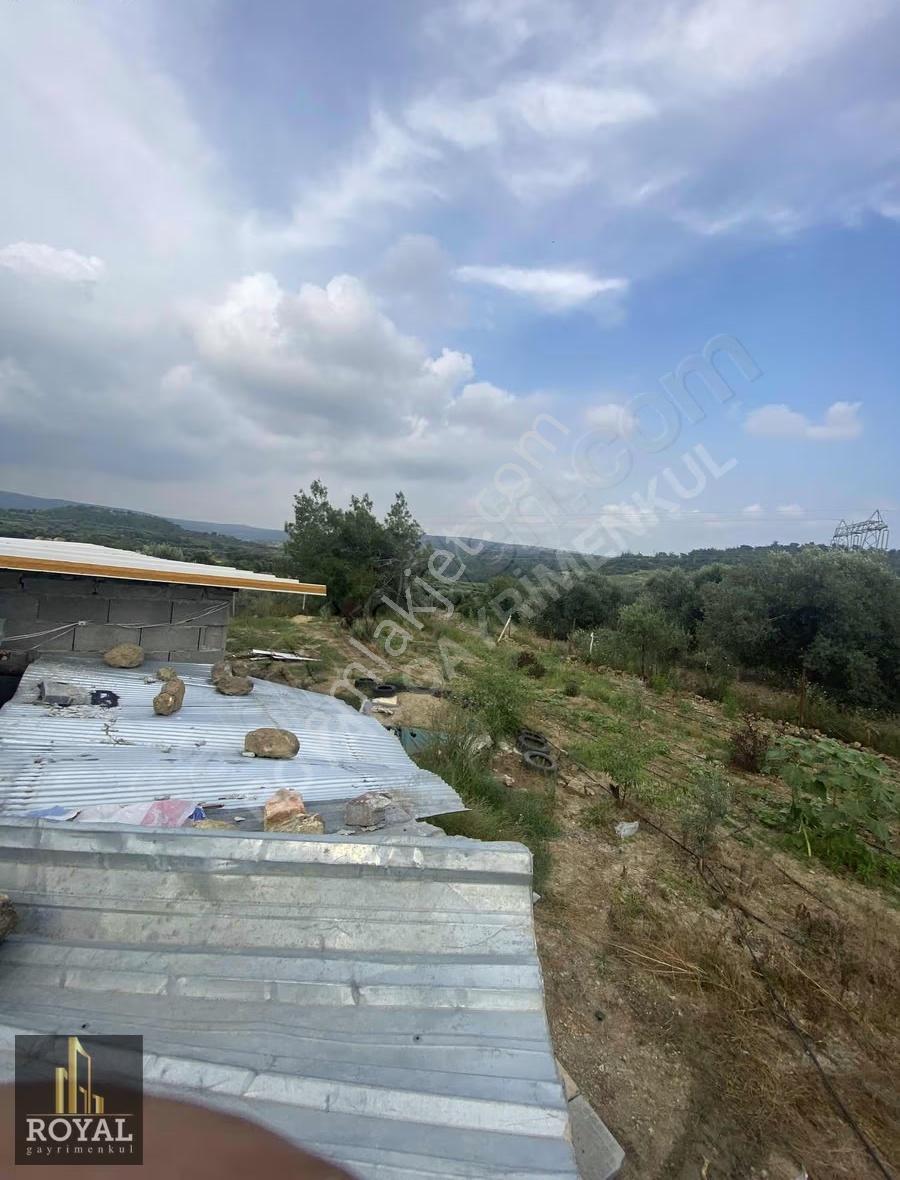 Royal Den Karadırlık Köyünde Satılık 10.800 M2 Tarla - Görsel 15