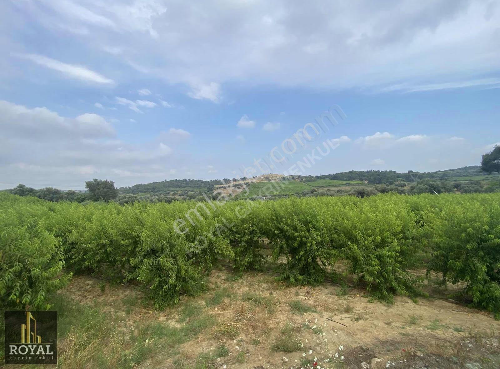 Royal Den Karadırlık Köyünde Satılık 10.800 M2 Tarla - Görsel 10