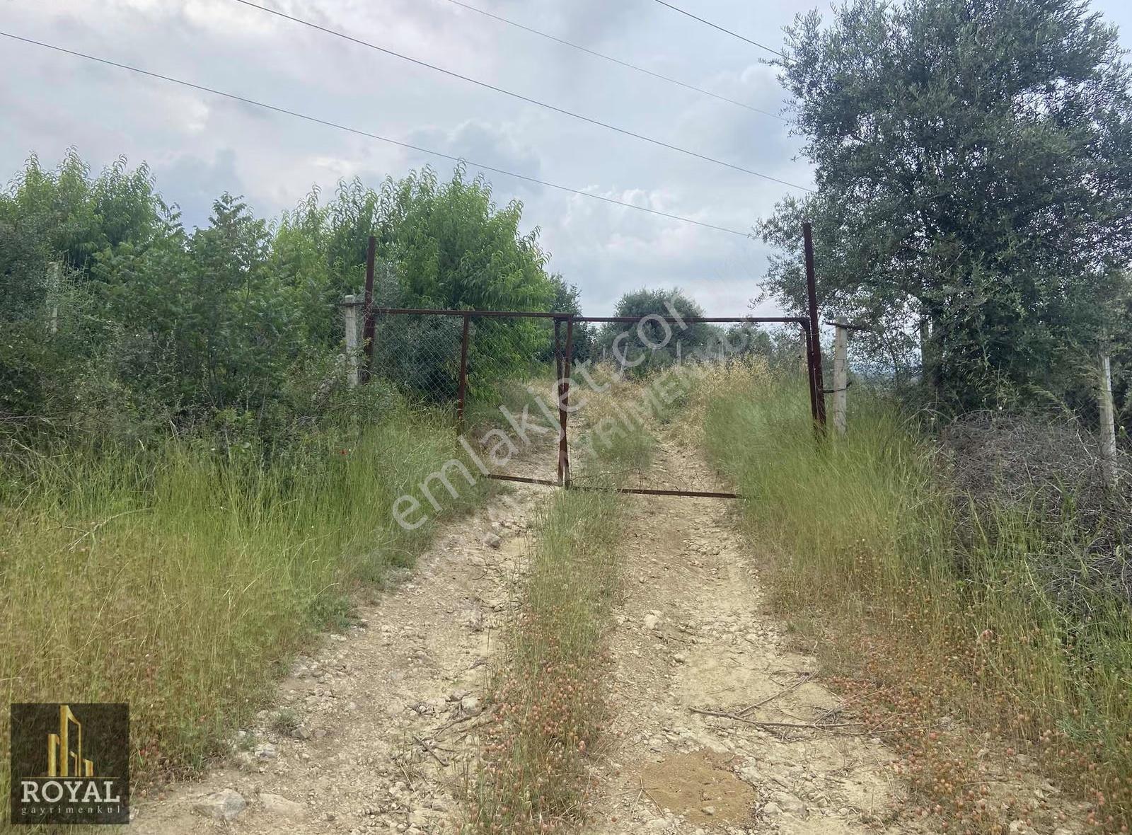 Royal Den Karadırlık Köyünde Satılık 10.800 M2 Tarla