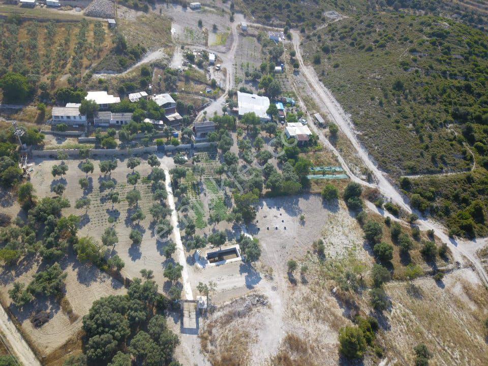Alaçatı Merkeze Yakın Düz Alanda Satılık Tarla - Görsel 5