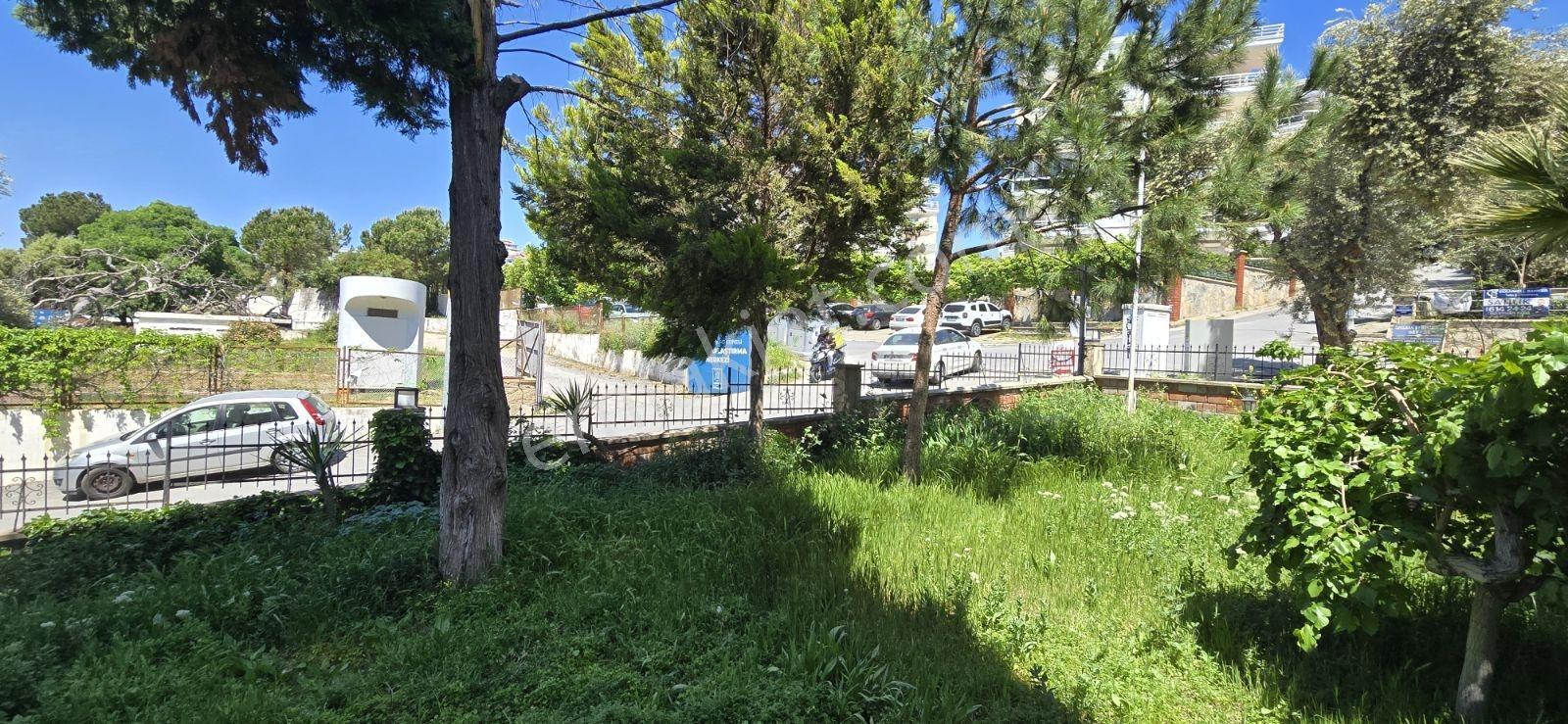 Marinaya 70 Metre Mesafede Daire Dükkan Satılık - Görsel 19