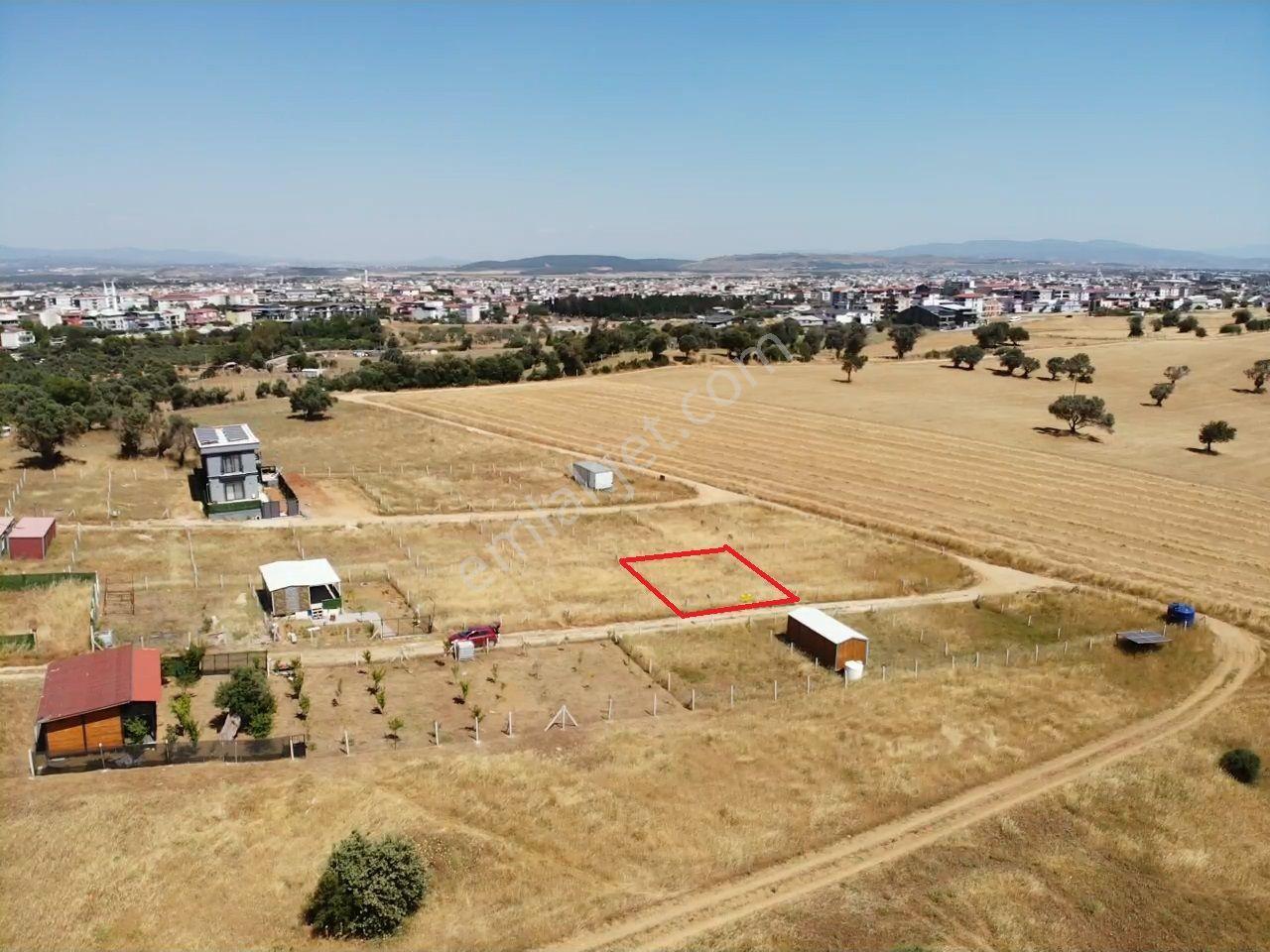 Barbaros Mah. İmara 250m - 220m² Satılık Bahçe (koop. Hisseli) - Görsel 7