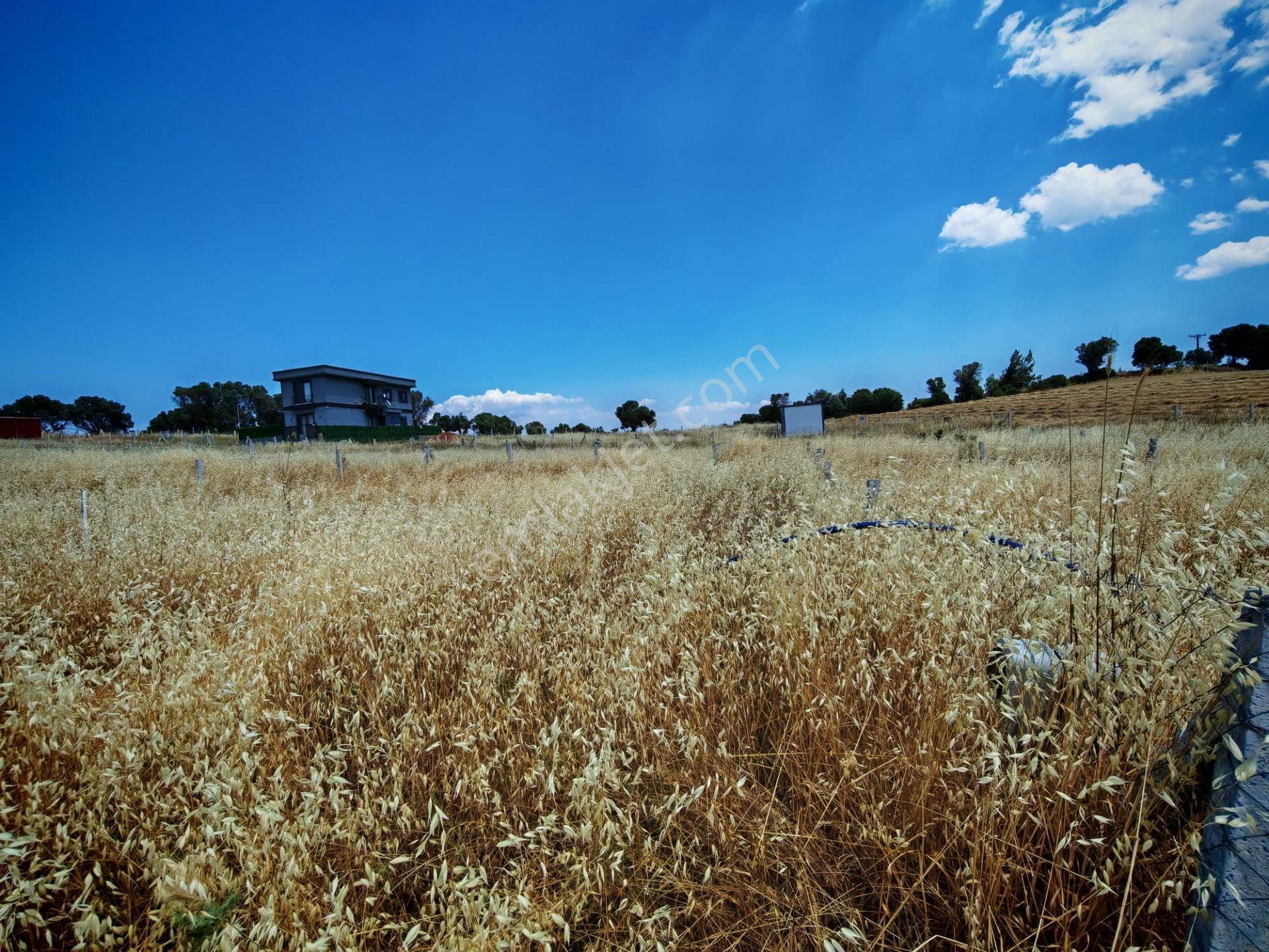 Barbaros Mah. İmara 250m - 220m² Satılık Bahçe (koop. Hisseli) - Görsel 13