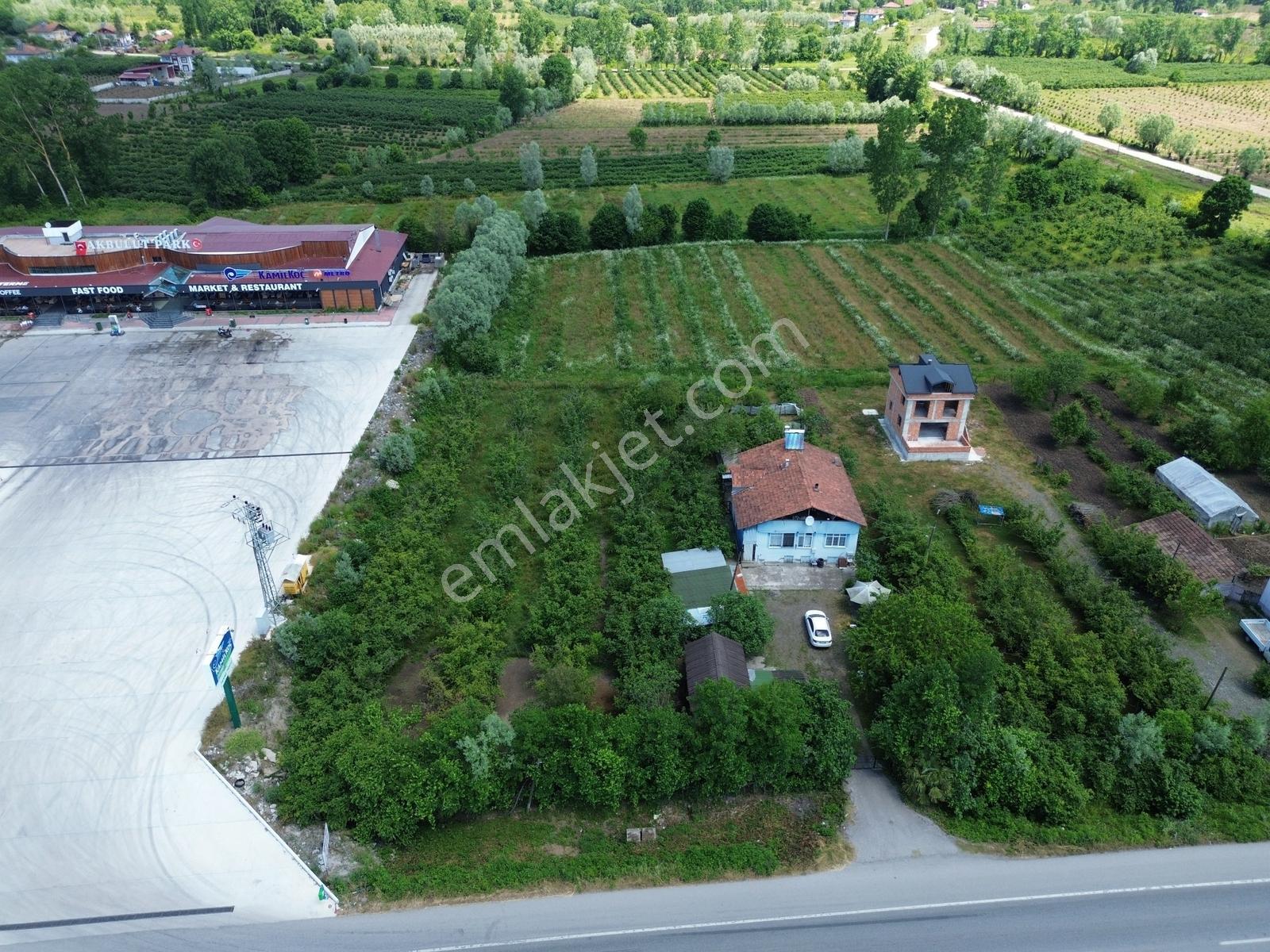 Karadeniz Sahil Yoluna Cephe | Evli | Yatırımlık| 3.182 M² Tarla - Görsel 15