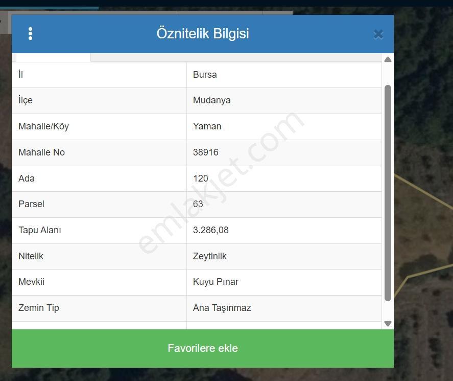 Sinerji'den Mudanya Yaman Köy'ünde Yolu Olan Zeytinlik - Görsel 2