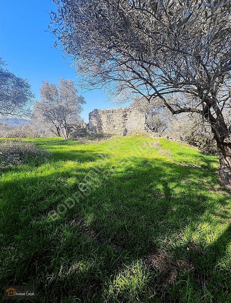 Milas Karacahisarda Köy İçi Kağir Ev Ve 980 M2 Arsası - Görsel 8