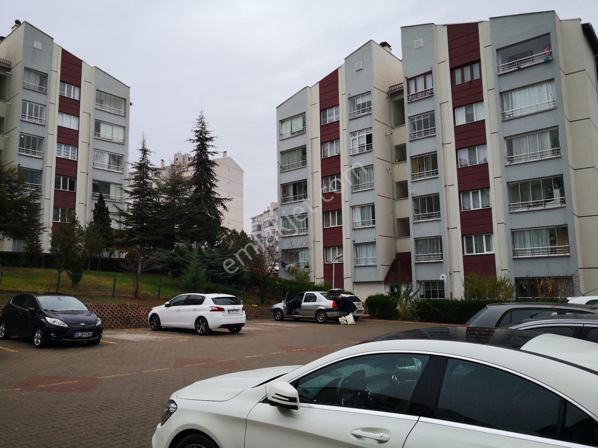 Ankara Batıkent Batısitesi’nde Masrafsız,ara Kat,sosyal Olanaklara Komşu Satılık 3+1 Daire - Görsel 23