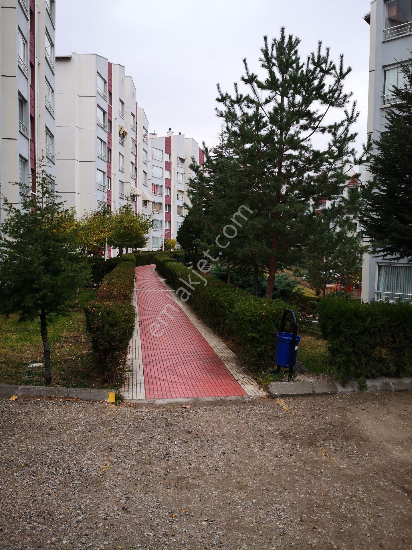 Ankara Batıkent Batısitesi’nde Masrafsız,ara Kat,sosyal Olanaklara Komşu Satılık 3+1 Daire - Görsel 30