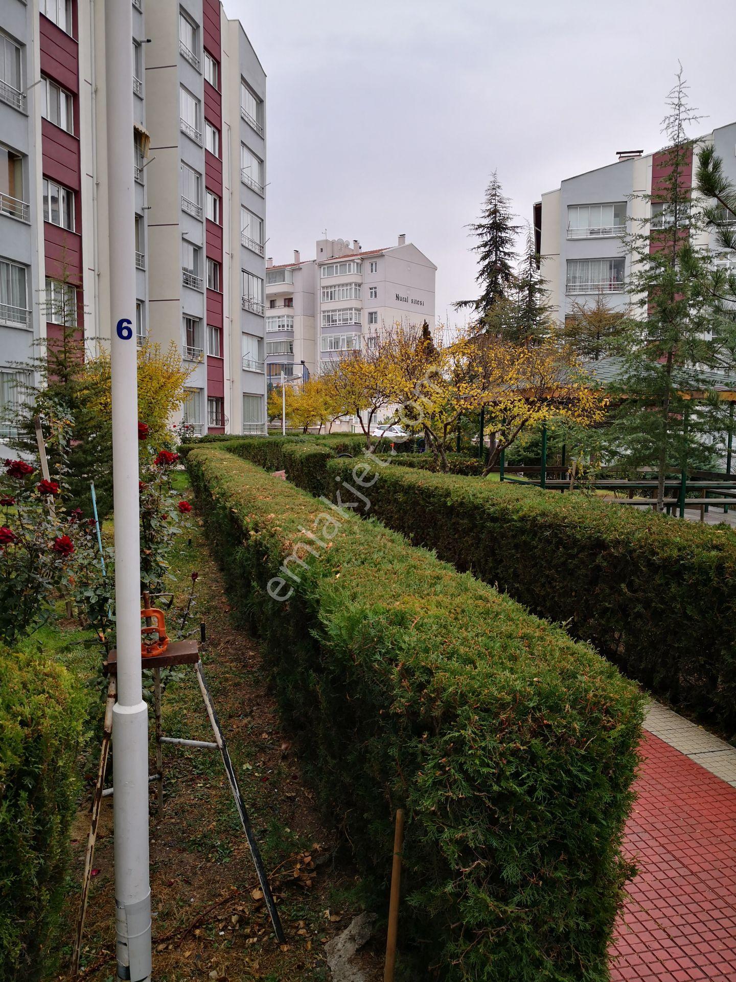 Ankara Batıkent Batısitesi’nde Masrafsız,ara Kat,sosyal Olanaklara Komşu Satılık 3+1 Daire - Görsel 26