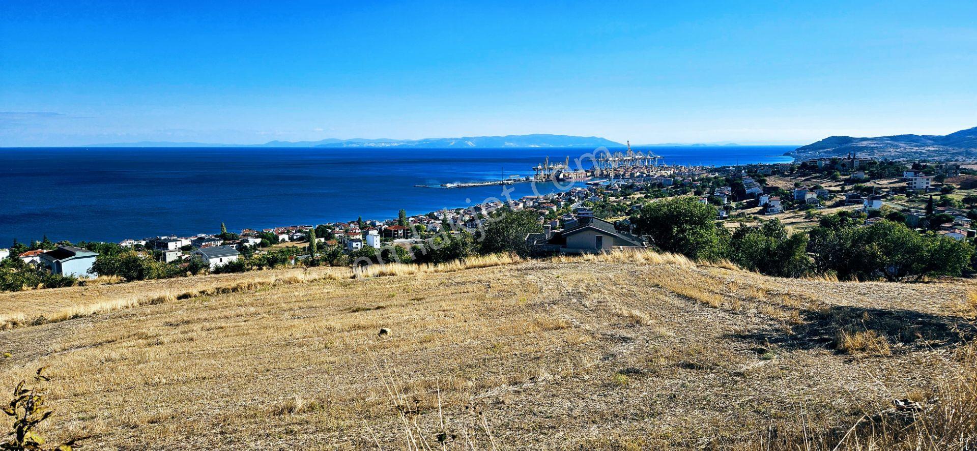 Full Deniz Doğa Manzara 6 Adet Lüxs Villa Yada 25 Adet 2+1 Havuzlu Daire Projesine Uygun - Görsel 14