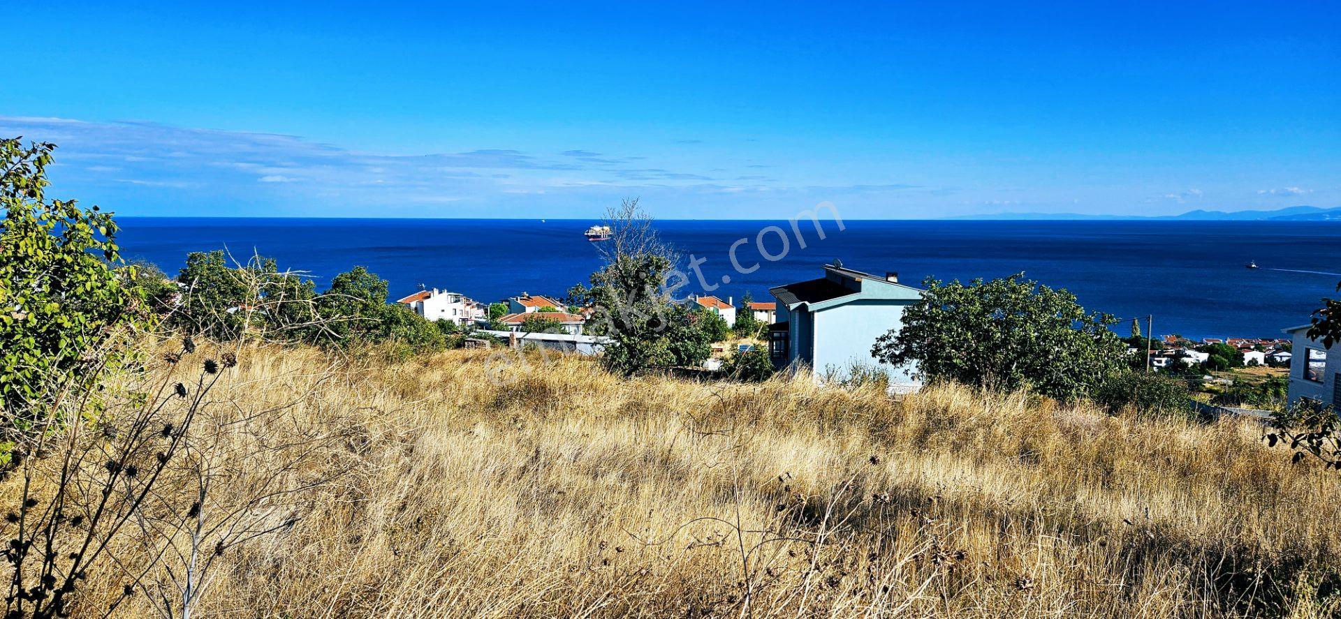 Full Deniz Doğa Manzara 6 Adet Lüxs Villa Yada 25 Adet 2+1 Havuzlu Daire Projesine Uygun - Görsel 30