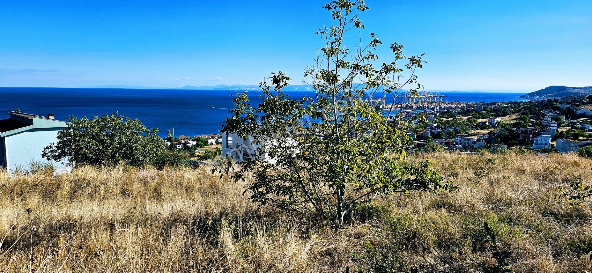 Full Deniz Doğa Manzara 6 Adet Lüxs Villa Yada 25 Adet 2+1 Havuzlu Daire Projesine Uygun - Görsel 21