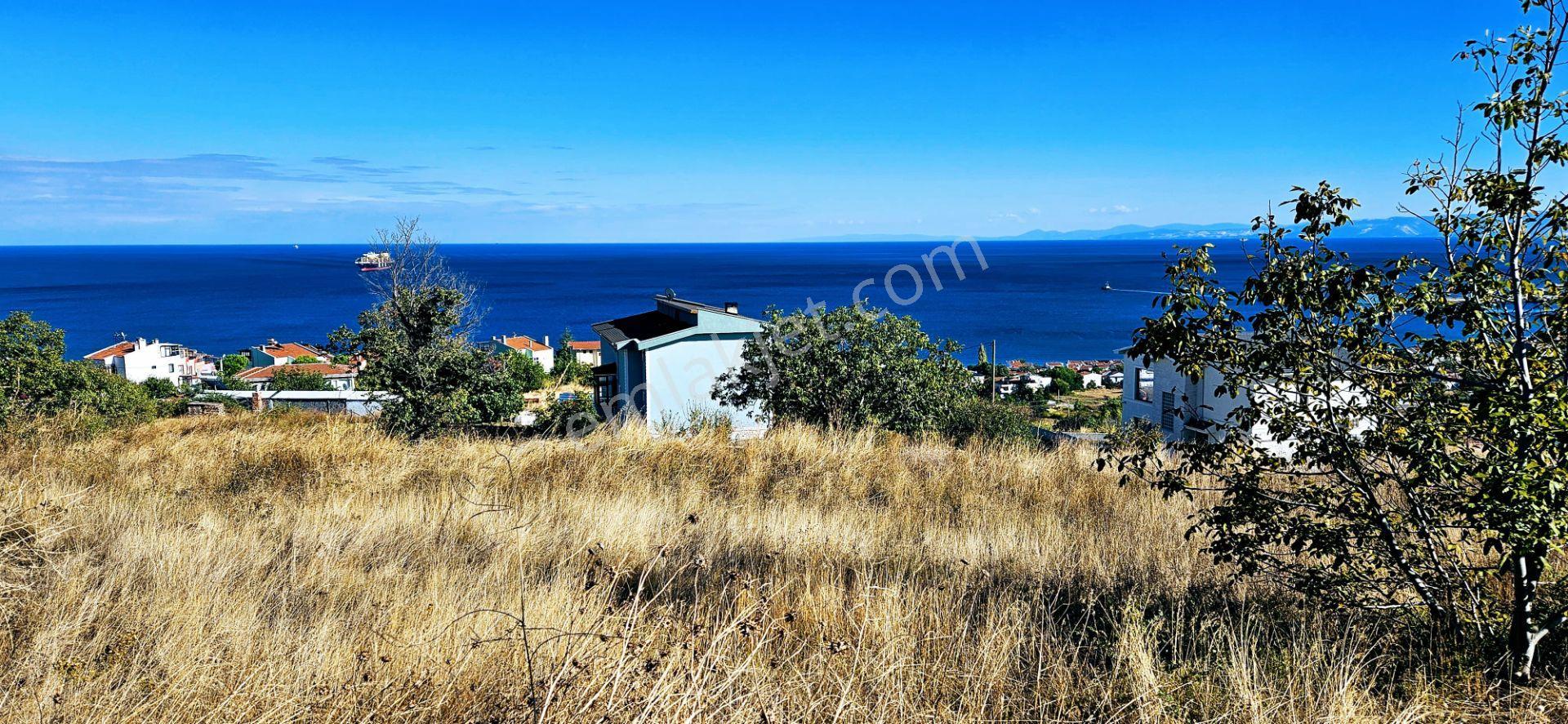 Full Deniz Doğa Manzara 6 Adet Lüxs Villa Yada 25 Adet 2+1 Havuzlu Daire Projesine Uygun - Görsel 20