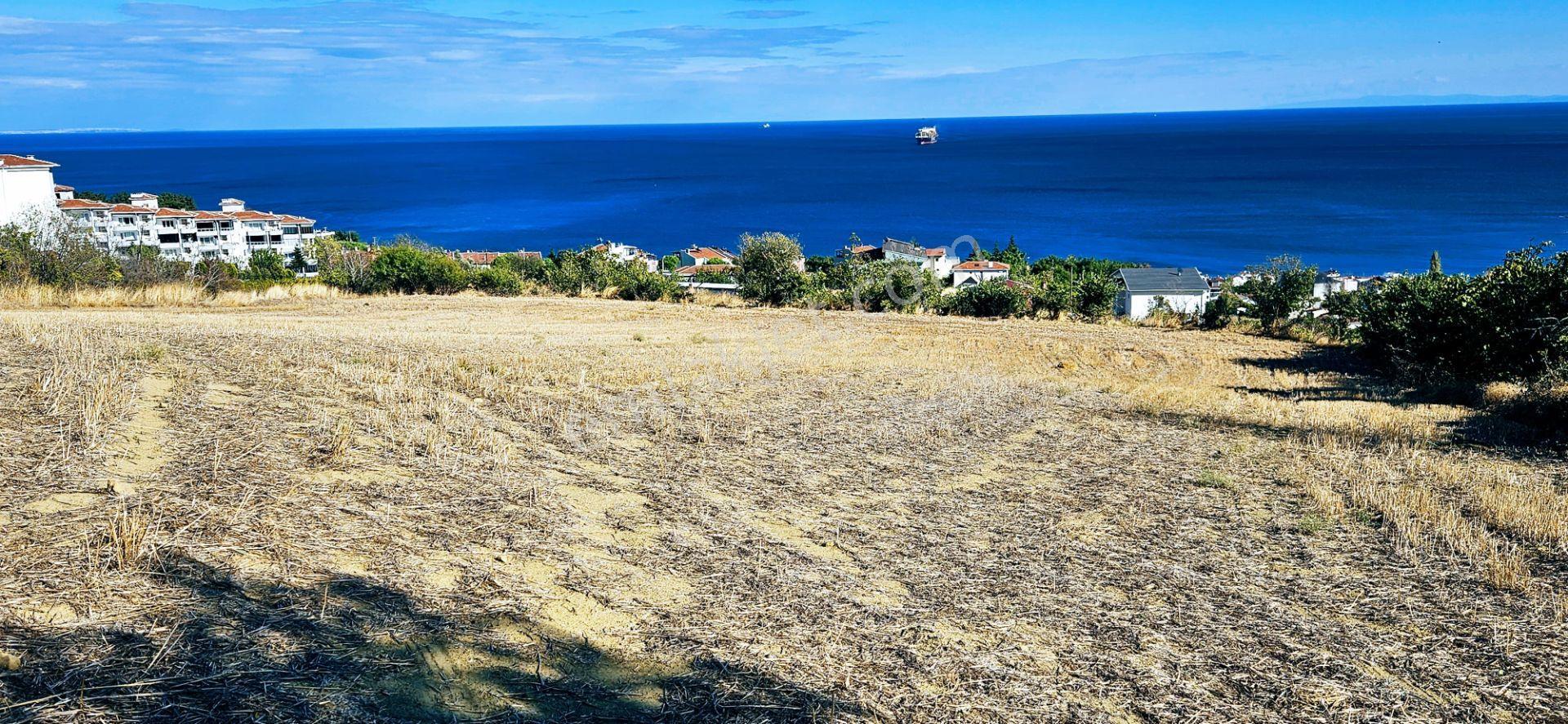 Full Deniz Doğa Manzara 6 Adet Lüxs Villa Yada 25 Adet 2+1 Havuzlu Daire Projesine Uygun - Görsel 11