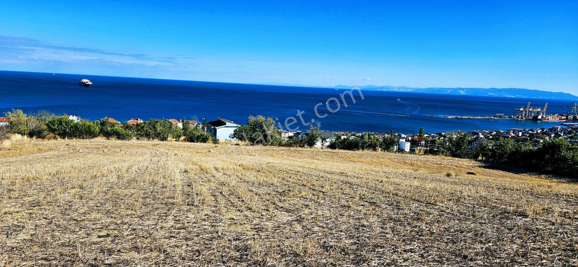 Full Deniz Doğa Manzara 6 Adet Lüxs Villa Yada 25 Adet 2+1 Havuzlu Daire Projesine Uygun - Görsel 26