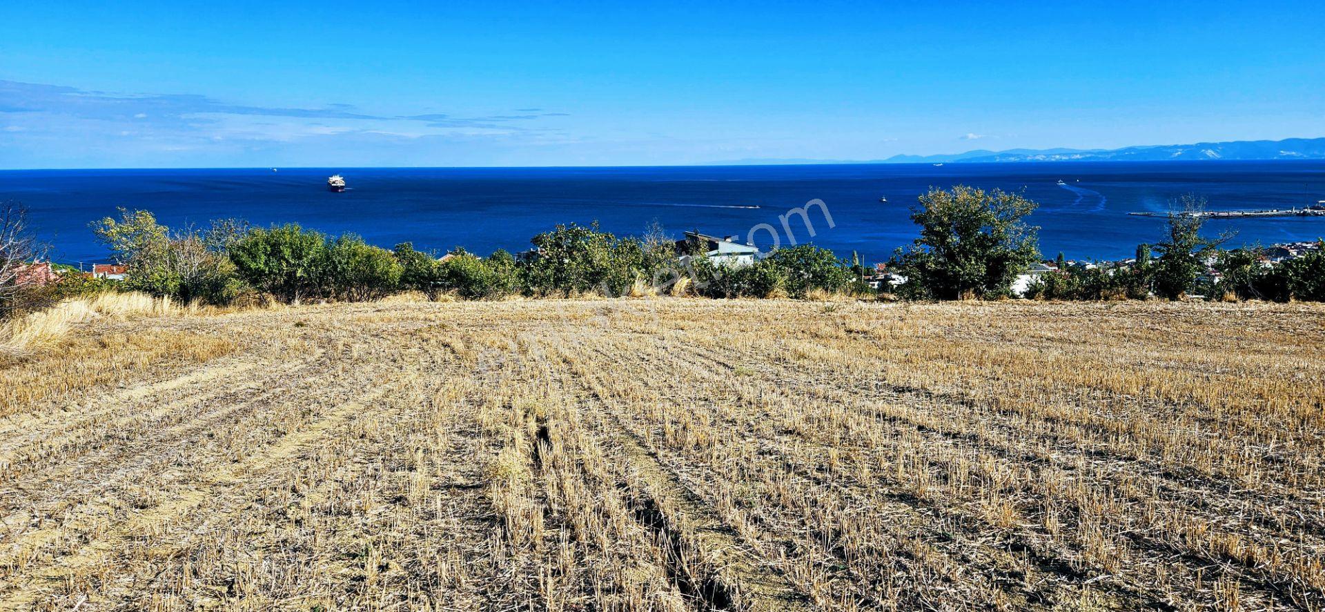 Full Deniz Doğa Manzara 6 Adet Lüxs Villa Yada 25 Adet 2+1 Havuzlu Daire Projesine Uygun - Görsel 9