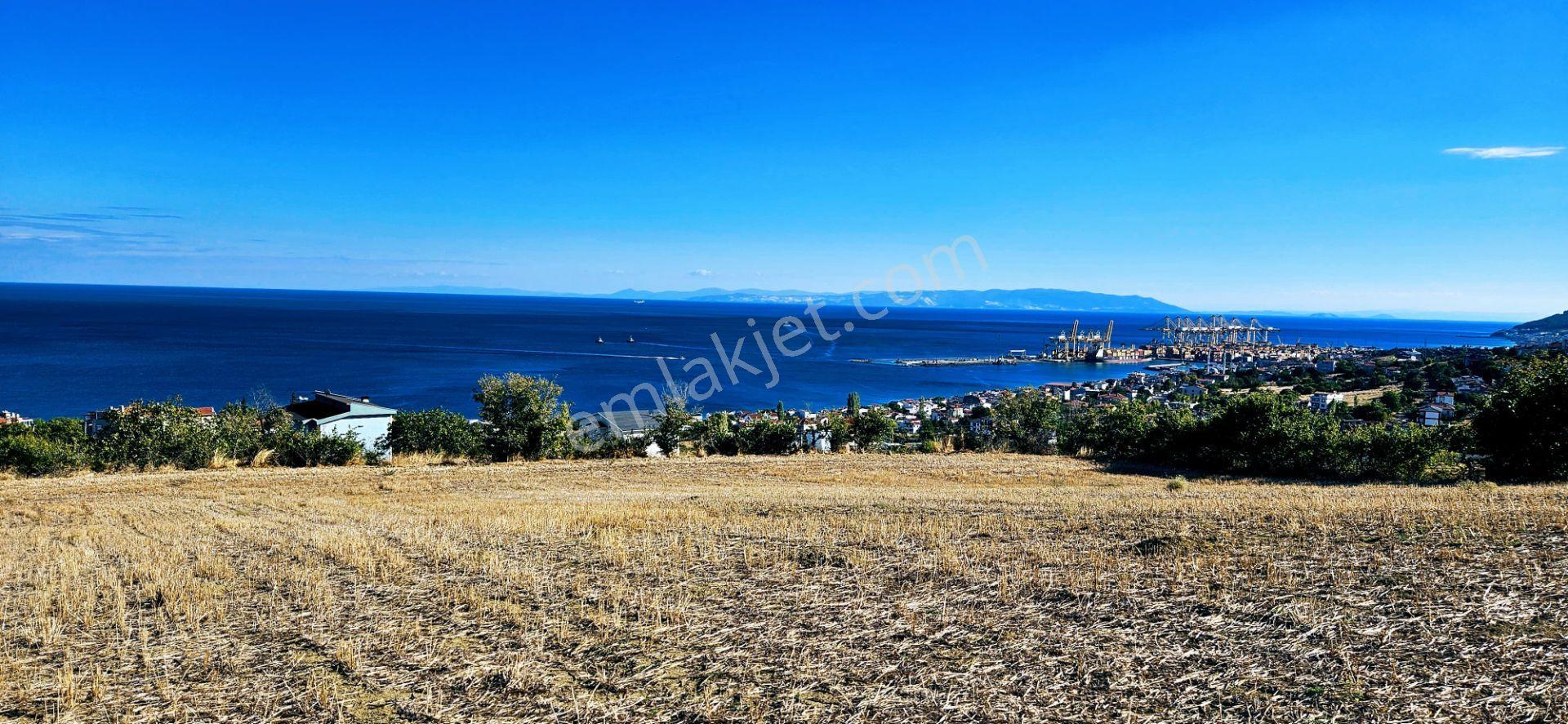 Full Deniz Doğa Manzara 6 Adet Lüxs Villa Yada 25 Adet 2+1 Havuzlu Daire Projesine Uygun - Görsel 2
