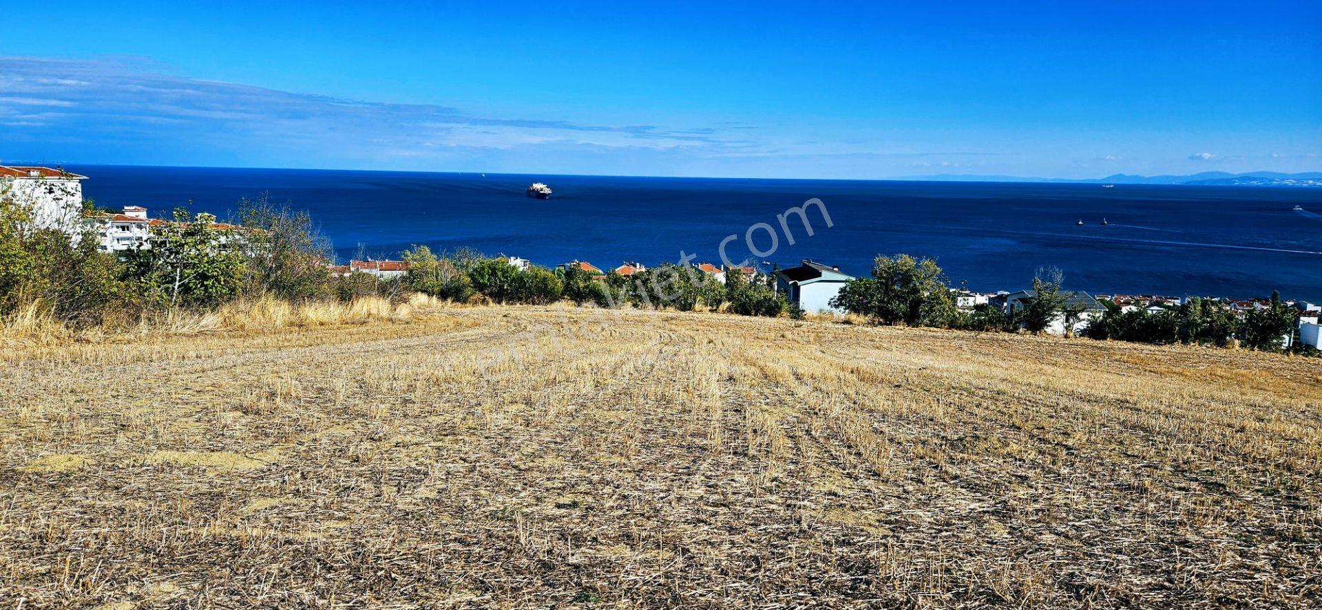Full Deniz Doğa Manzara 6 Adet Lüxs Villa Yada 25 Adet 2+1 Havuzlu Daire Projesine Uygun - Görsel 31