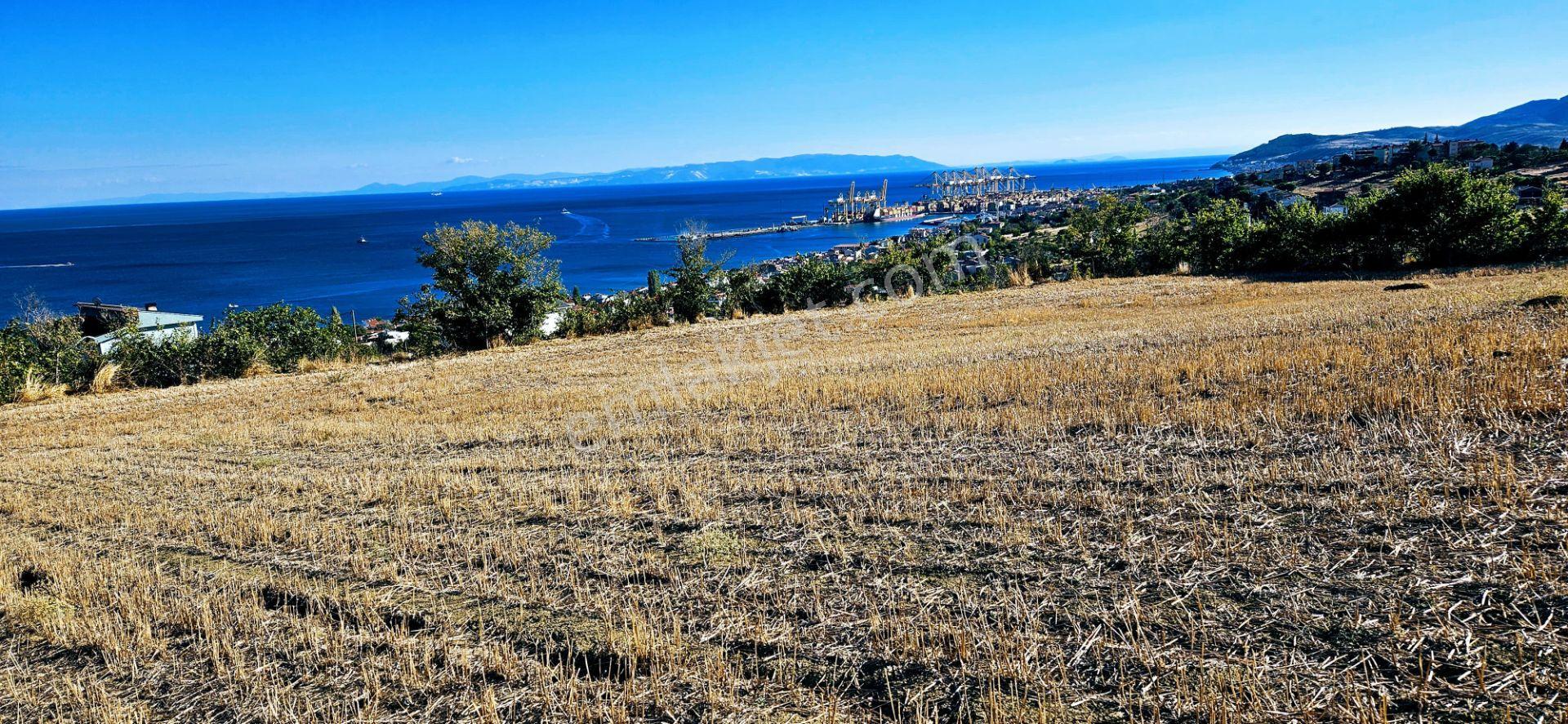Full Deniz Doğa Manzara 6 Adet Lüxs Villa Yada 25 Adet 2+1 Havuzlu Daire Projesine Uygun - Görsel 22