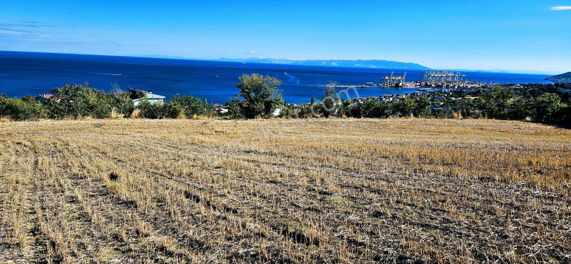 Full Deniz Doğa Manzara 6 Adet Lüxs Villa Yada 25 Adet 2+1 Havuzlu Daire Projesine Uygun - Görsel 7