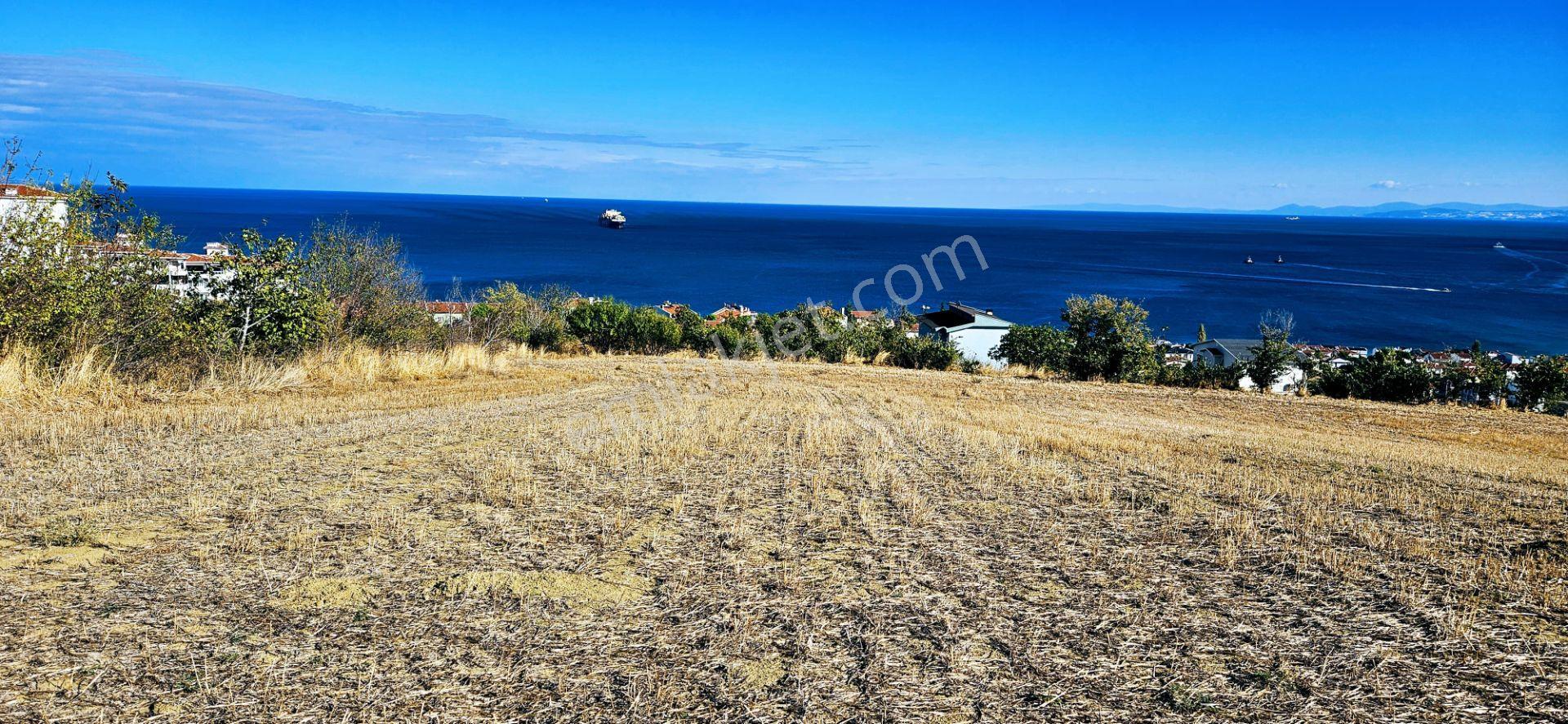 Full Deniz Doğa Manzara 6 Adet Lüxs Villa Yada 25 Adet 2+1 Havuzlu Daire Projesine Uygun - Görsel 28