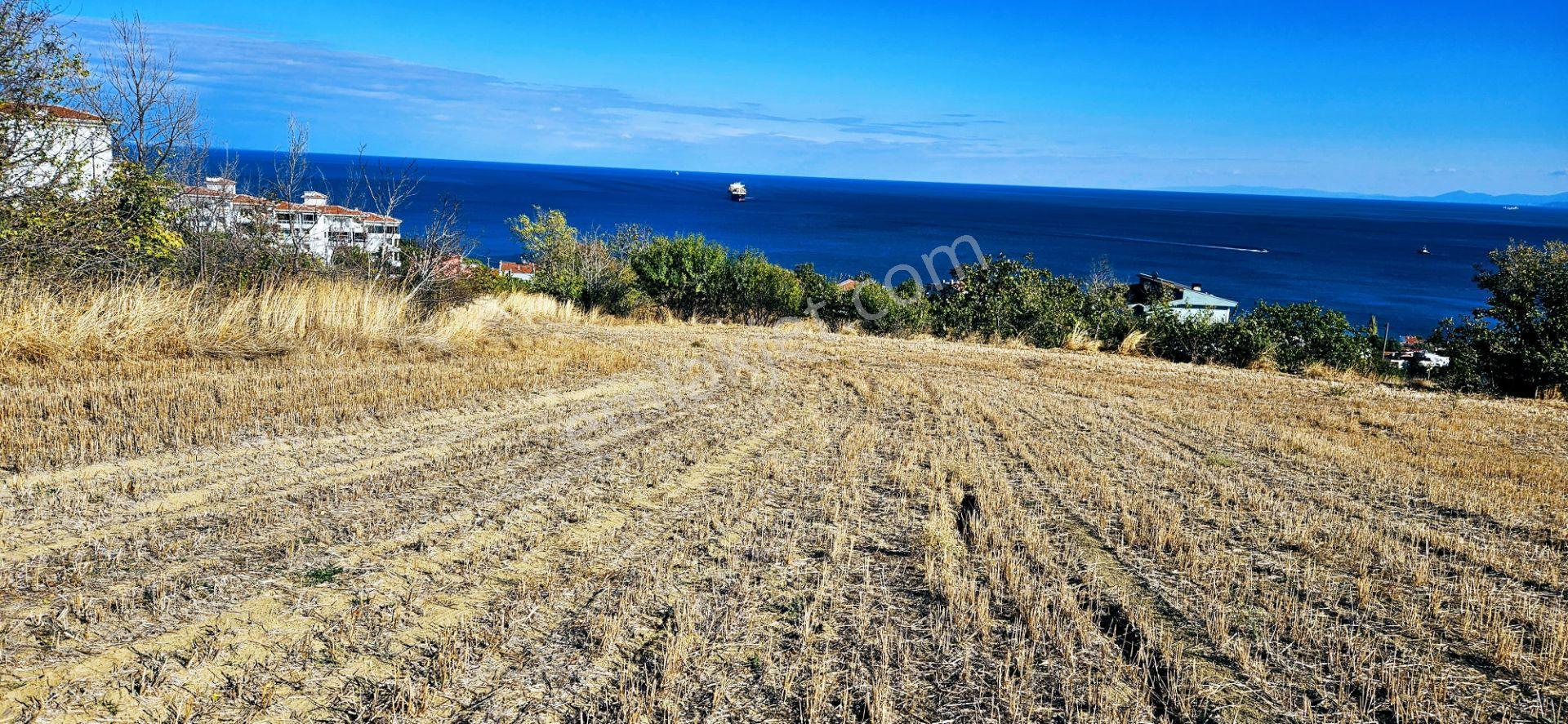 Full Deniz Doğa Manzara 6 Adet Lüxs Villa Yada 25 Adet 2+1 Havuzlu Daire Projesine Uygun - Görsel 23