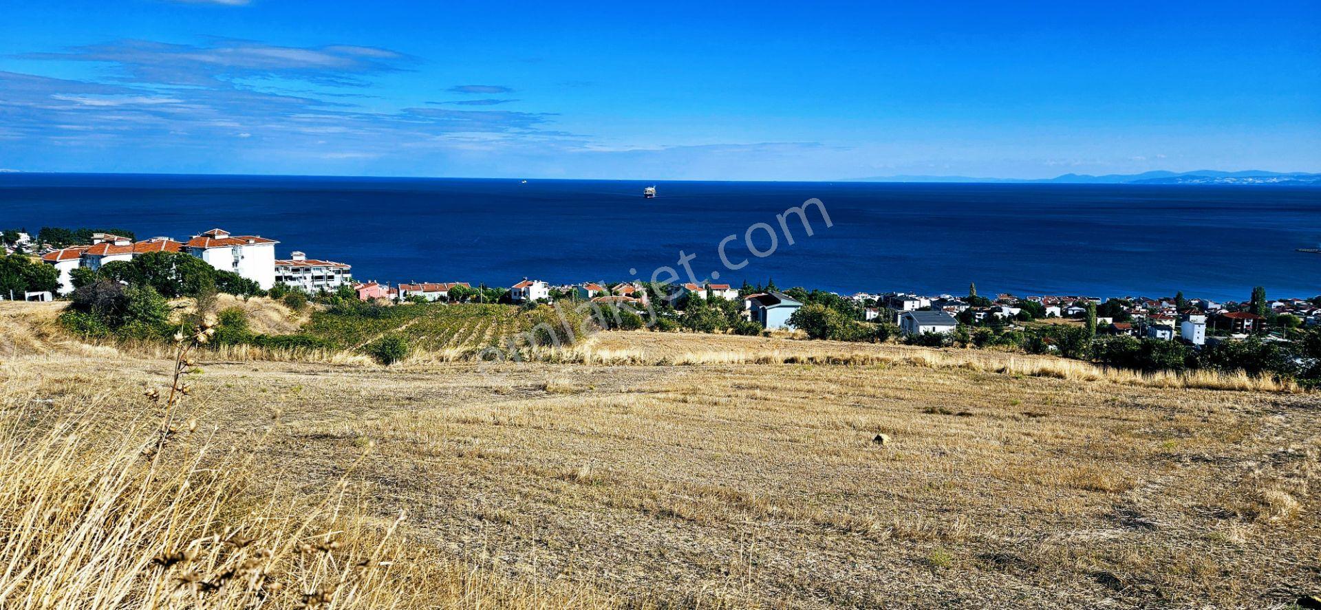 Full Deniz Doğa Manzara 6 Adet Lüxs Villa Yada 25 Adet 2+1 Havuzlu Daire Projesine Uygun - Görsel 12