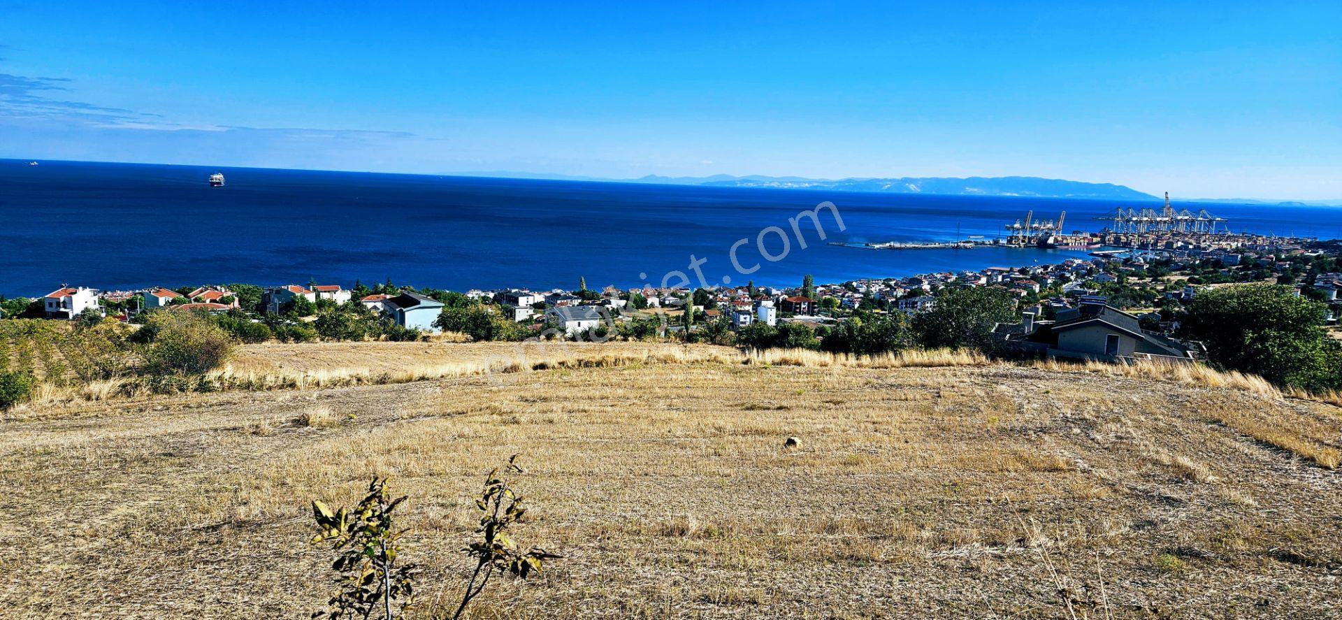Full Deniz Doğa Manzara 6 Adet Lüxs Villa Yada 25 Adet 2+1 Havuzlu Daire Projesine Uygun - Görsel 5