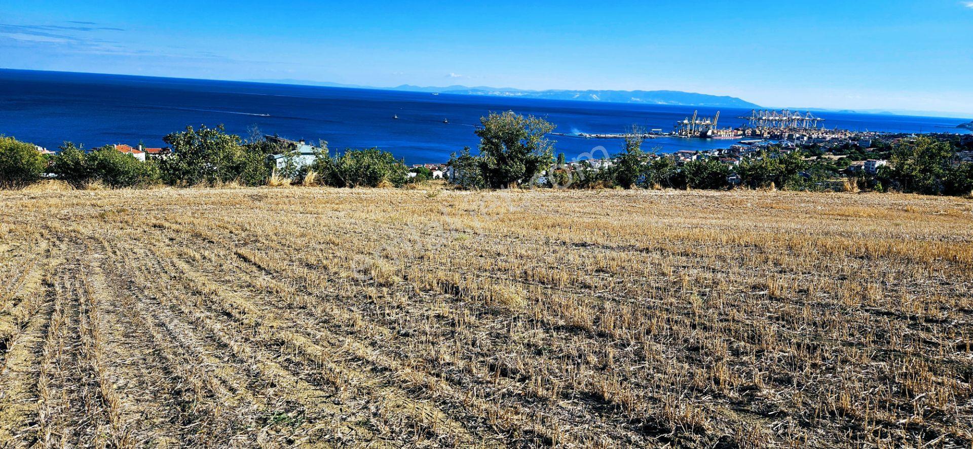 Full Deniz Doğa Manzara 6 Adet Lüxs Villa Yada 25 Adet 2+1 Havuzlu Daire Projesine Uygun - Görsel 16