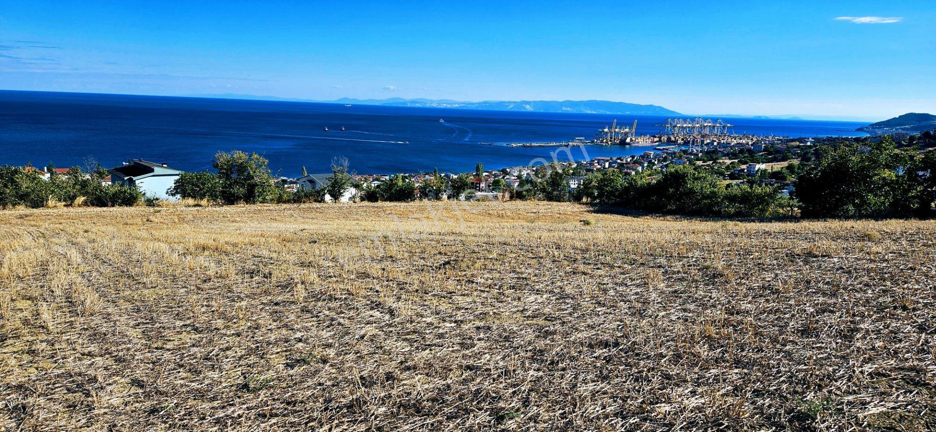 Full Deniz Doğa Manzara 6 Adet Lüxs Villa Yada 25 Adet 2+1 Havuzlu Daire Projesine Uygun - Görsel 24