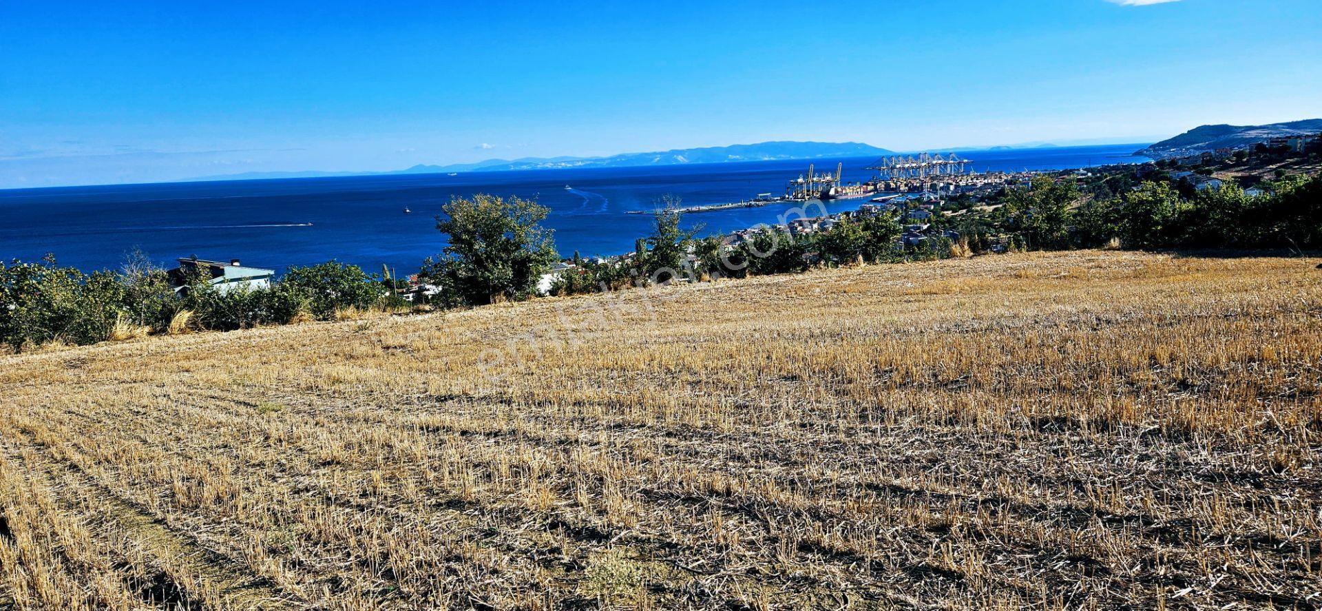 Full Deniz Doğa Manzara 6 Adet Lüxs Villa Yada 25 Adet 2+1 Havuzlu Daire Projesine Uygun - Görsel 25