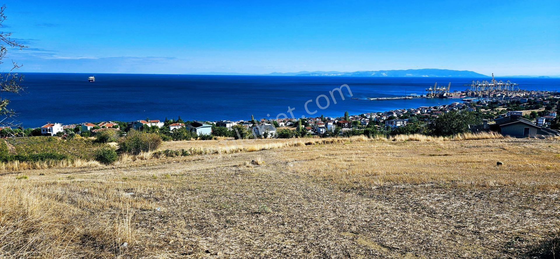 Full Deniz Doğa Manzara 6 Adet Lüxs Villa Yada 25 Adet 2+1 Havuzlu Daire Projesine Uygun