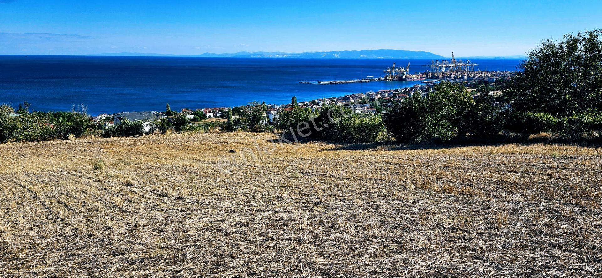 Full Deniz Doğa Manzara 6 Adet Lüxs Villa Yada 25 Adet 2+1 Havuzlu Daire Projesine Uygun - Görsel 19