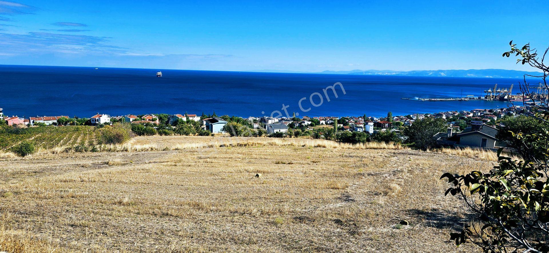 Full Deniz Doğa Manzara 6 Adet Lüxs Villa Yada 25 Adet 2+1 Havuzlu Daire Projesine Uygun - Görsel 15