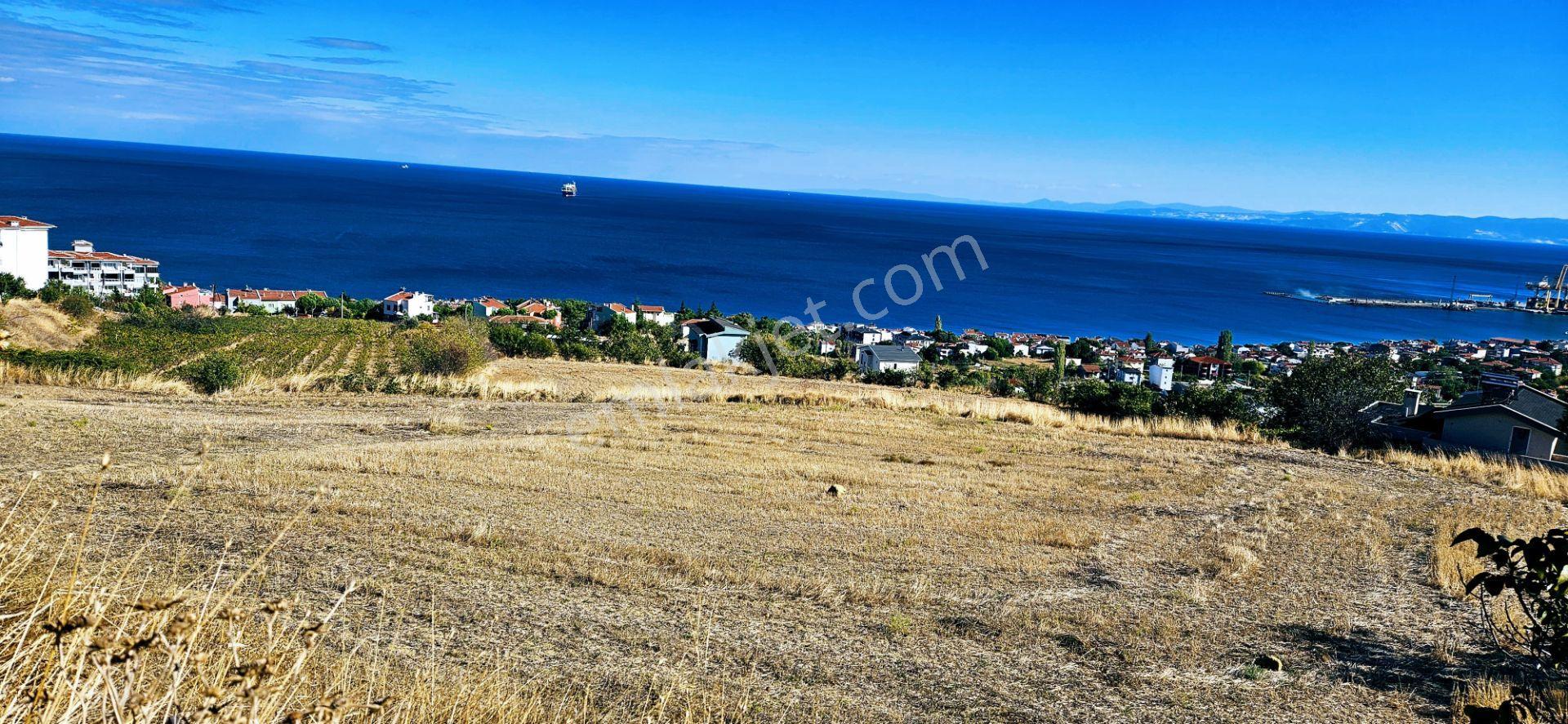 Full Deniz Doğa Manzara 6 Adet Lüxs Villa Yada 25 Adet 2+1 Havuzlu Daire Projesine Uygun - Görsel 18